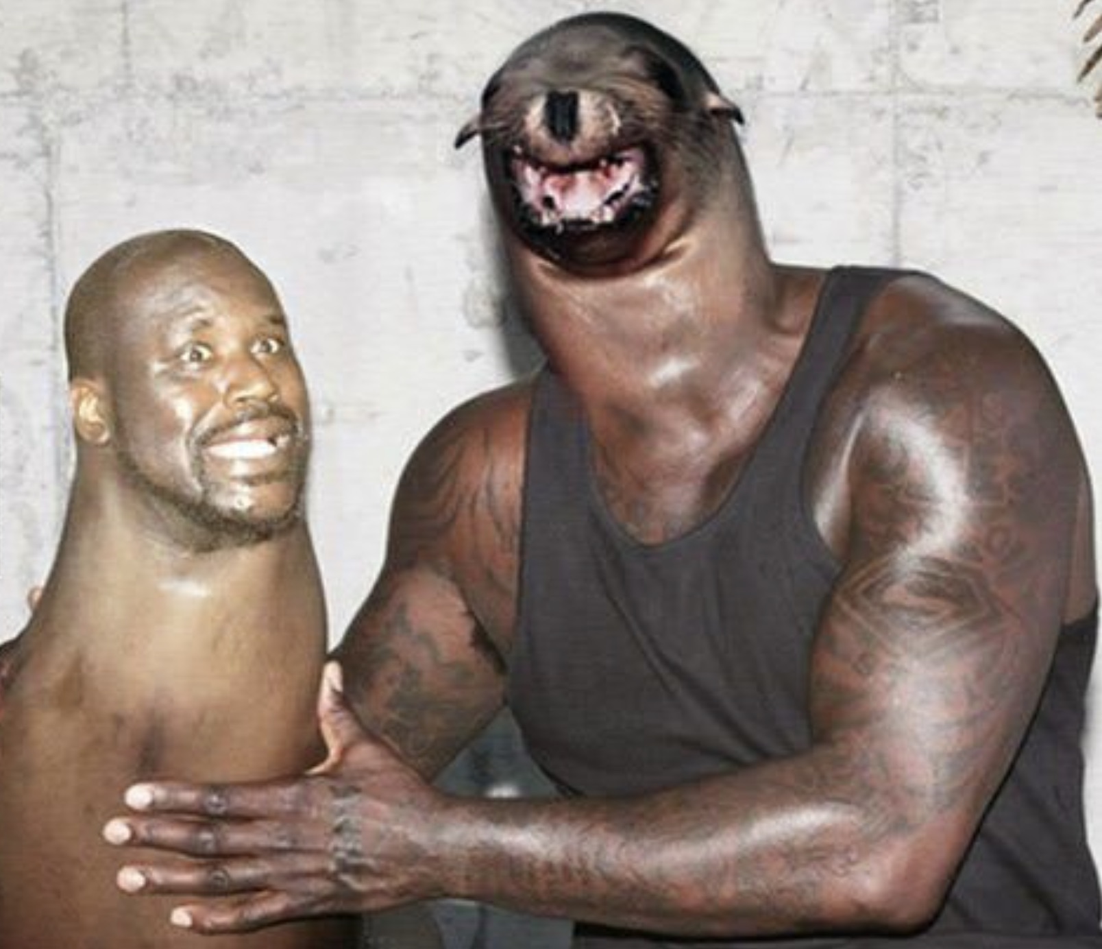 shaq with a seal